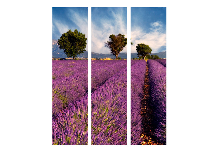Room Divider Screen Lavender Field: France (3-piece) - landscape of purple lavender fields 132936 additionalImage 3