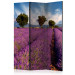 Room Divider Screen Lavender Field: France (3-piece) - landscape of purple lavender fields 132936