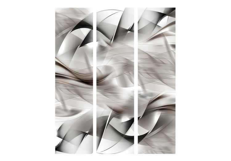 Room Separator Abstract Braid - abstract silver patterns with illusion motif 133636 additionalImage 3