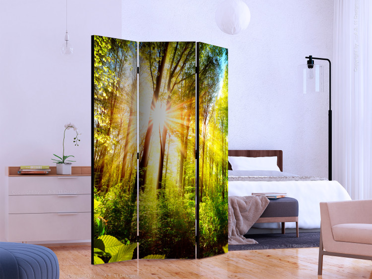 Folding Screen Forest Hideaway - landscape scenery of a forest with bright sunlight 133836 additionalImage 2