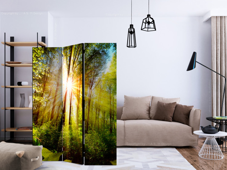 Folding Screen Forest Hideaway - landscape scenery of a forest with bright sunlight 133836 additionalImage 4