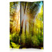 Folding Screen Forest Hideaway - landscape scenery of a forest with bright sunlight 133836