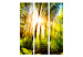 Folding Screen Forest Hideaway - landscape scenery of a forest with bright sunlight 133836 additionalThumb 3