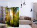 Folding Screen Forest Hideaway - landscape scenery of a forest with bright sunlight 133836 additionalThumb 4