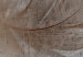 Photo Wallpaper Breeze - bird feather motif on greyish concrete texture 138236 additionalThumb 4