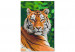 Paint by Number Kit Tiger in Green 138436 additionalThumb 3