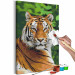 Paint by Number Kit Tiger in Green 138436 additionalThumb 5