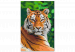 Paint by Number Kit Tiger in Green 138436 additionalThumb 7