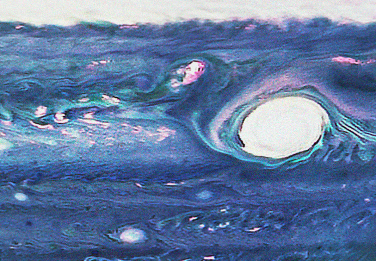Canvas Print Jupiter - Close-up of a Planet in Space and Its Auroras 146236 additionalImage 5