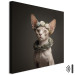 Canvas Print AI Sphinx Cat - Animal Portrait With Long Ears and Plant Jewelry - Square 150136 additionalThumb 8