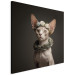 Canvas Print AI Sphinx Cat - Animal Portrait With Long Ears and Plant Jewelry - Square 150136 additionalThumb 2