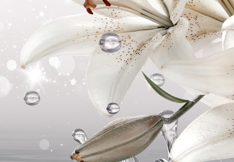 Large canvas print Lilies on a decorative cream background in water [Large Format] 150936 additionalImage 4