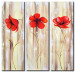 Canvas Three Poppies (3-piece) - Flowers on a pearl background with a textured plank effect 48536