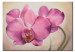 Canvas Print Sensual orchid 48636