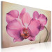 Canvas Print Sensual orchid 48636 additionalThumb 2