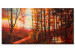 Canvas Art Print Sunrise over forest 49536