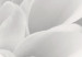 Canvas Art Print Dahlia flower in grey shades 49936 additionalThumb 5