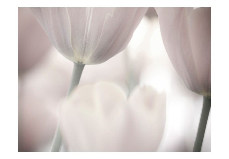 Photo Wallpaper Black and White Tulips - Delicate Macro Shot of Flowers with a Blurred Background 60636 additionalImage 1