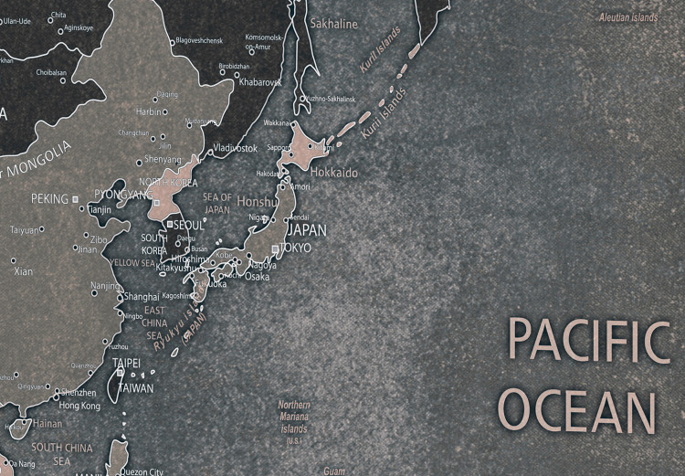 Decorative Pinboard Grey World [Cork Map] 96036 additionalImage 6