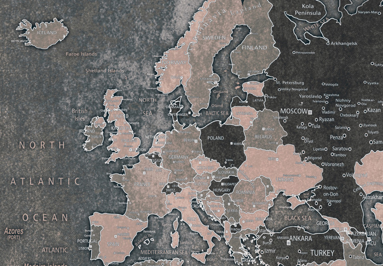 Decorative Pinboard Grey World [Cork Map] 96036 additionalImage 5