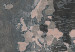 Decorative Pinboard Grey World [Cork Map] 96036 additionalThumb 5