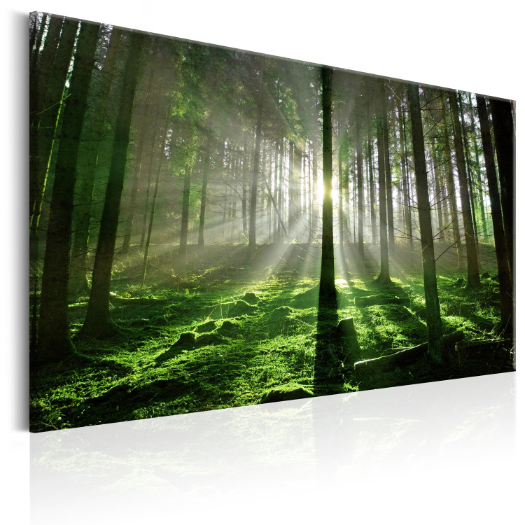 Canvas Emerald Forest II 97936 additionalImage 2