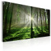 Canvas Emerald Forest II 97936 additionalThumb 2
