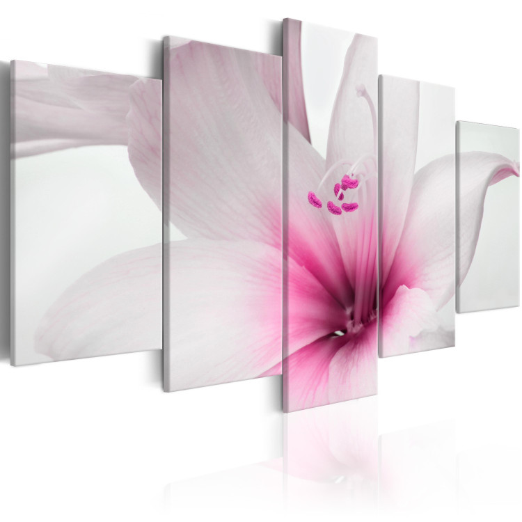 Canvas Print Amaryllis: Pink Charm - Romantic White Flower with Pink Element 98036 additionalImage 2