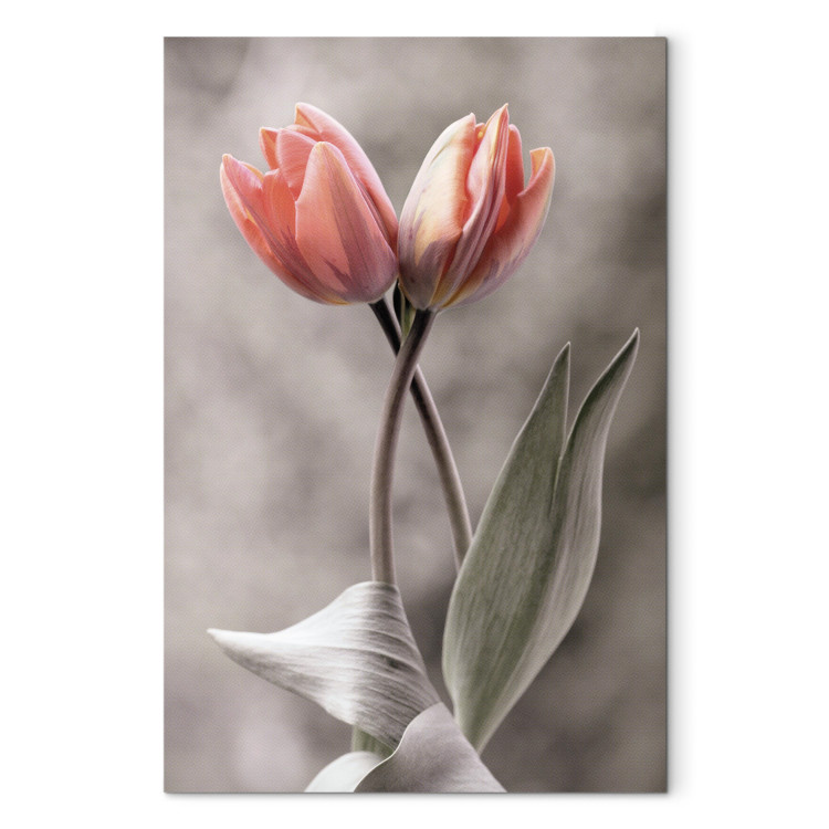 Canvas Spring Dance - Romantic Pink Tulip Flowers on Gray Background 98136 additionalImage 7