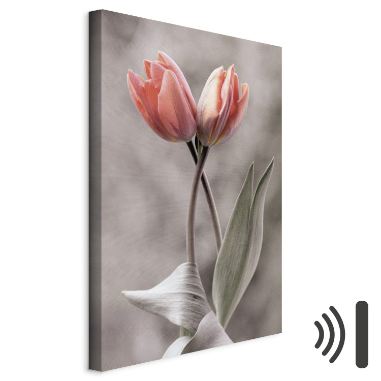 Canvas Spring Dance - Romantic Pink Tulip Flowers on Gray Background 98136 additionalImage 8
