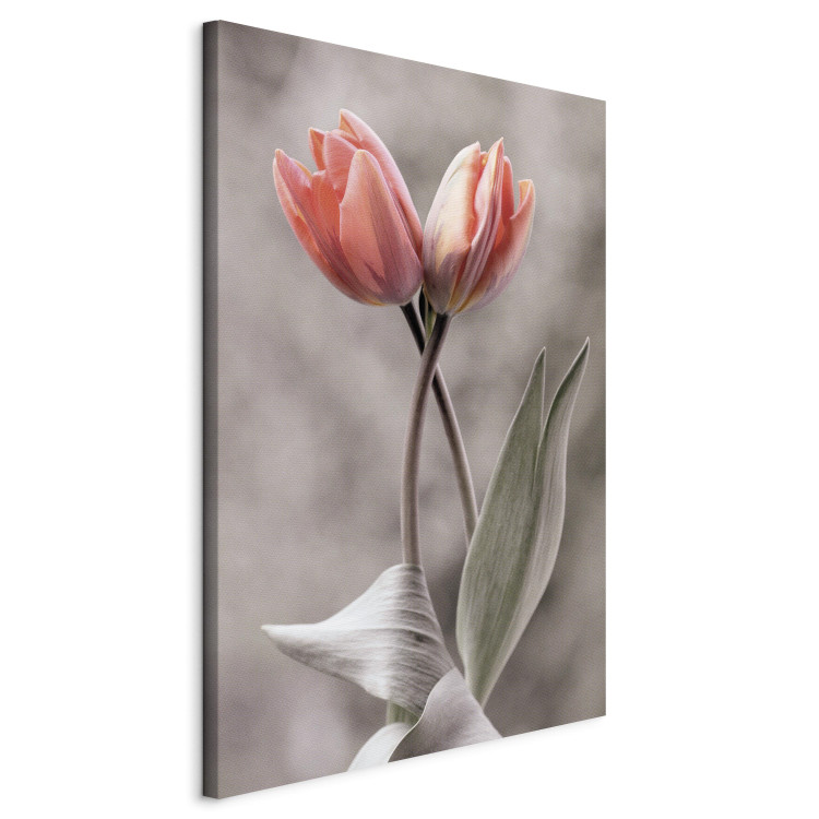 Canvas Spring Dance - Romantic Pink Tulip Flowers on Gray Background 98136 additionalImage 2