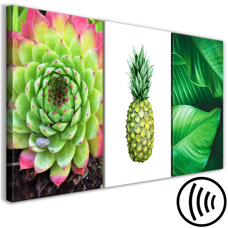 Canvas Print Tropical nature - triptych with green plants and pineapple fruit 118446 additionalImage 6