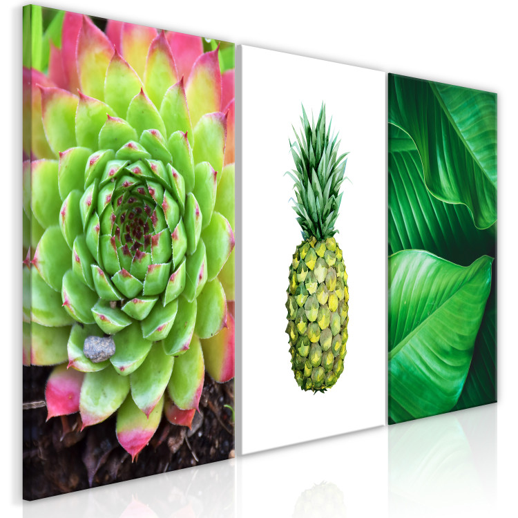 Canvas Print Tropical nature - triptych with green plants and pineapple fruit 118446 additionalImage 2
