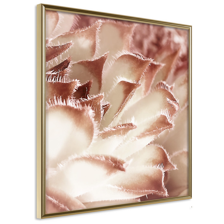 Poster Gentle Touch - floral motif of flowers with a light red texture 122646 additionalImage 14