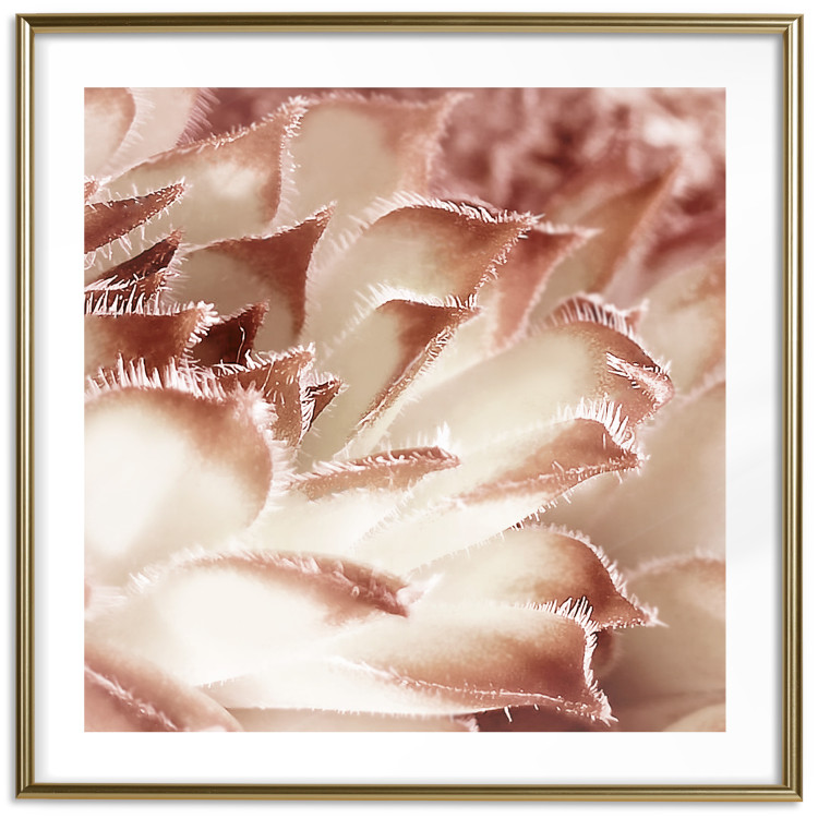 Poster Gentle Touch - floral motif of flowers with a light red texture 122646 additionalImage 14