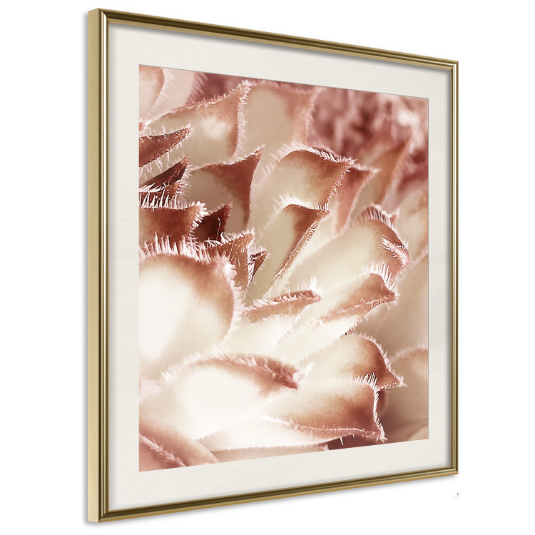 Poster Gentle Touch - floral motif of flowers with a light red texture 122646 additionalImage 2