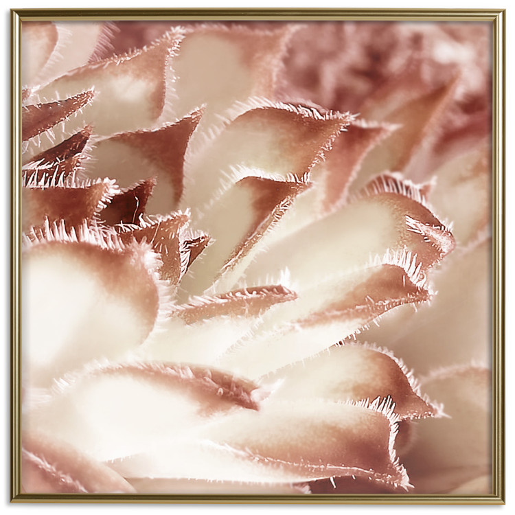 Poster Gentle Touch - floral motif of flowers with a light red texture 122646 additionalImage 20