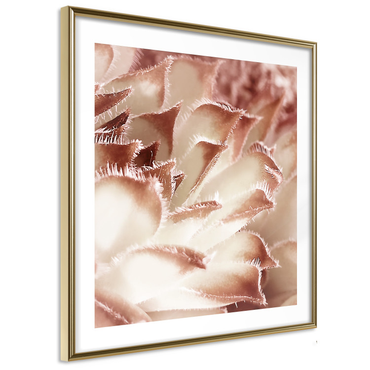 Poster Gentle Touch - floral motif of flowers with a light red texture 122646 additionalImage 8