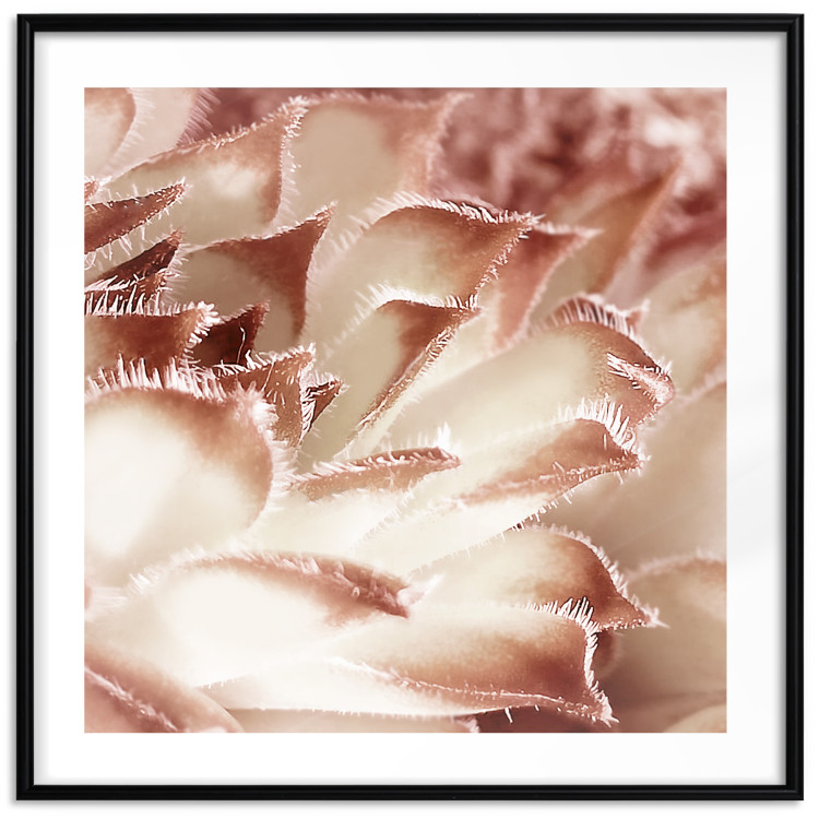 Poster Gentle Touch - floral motif of flowers with a light red texture 122646 additionalImage 15