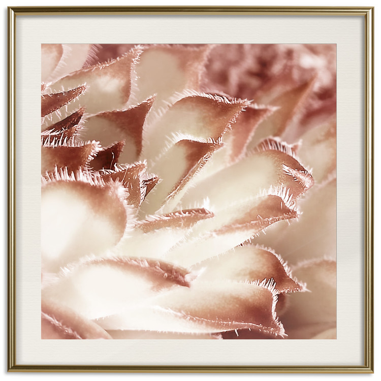 Poster Gentle Touch - floral motif of flowers with a light red texture 122646 additionalImage 19
