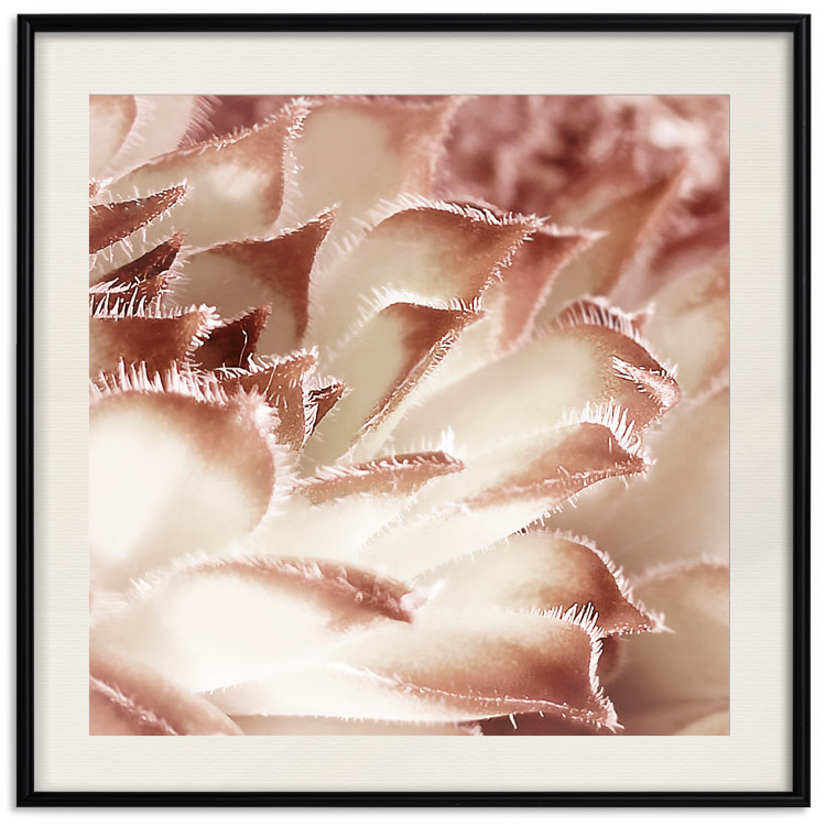 Poster Gentle Touch - floral motif of flowers with a light red texture 122646 additionalImage 18