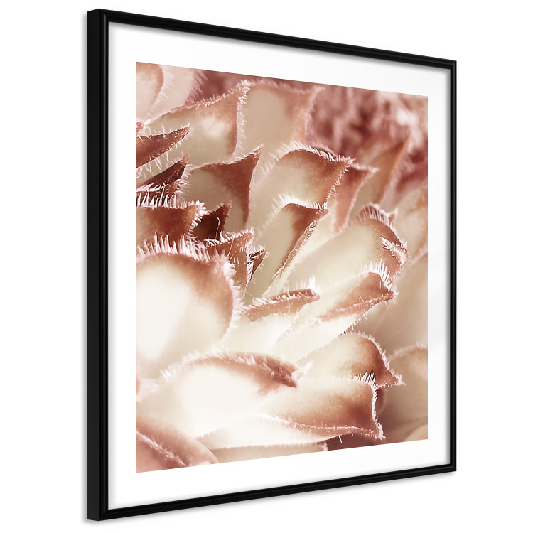 Poster Gentle Touch - floral motif of flowers with a light red texture 122646 additionalImage 13