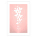 Poster Fly High! - English texts with white butterflies on a pink background 122946 additionalThumb 25