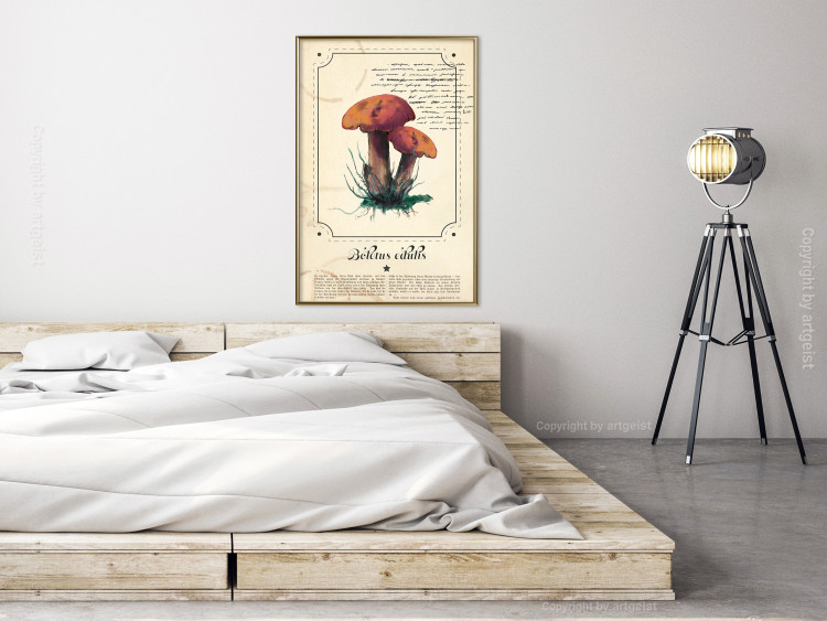 Poster Mushroom Atlas - brown mushrooms on beige background amidst black text 129546 additionalImage 5