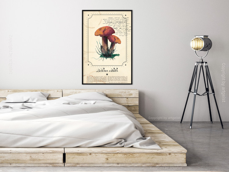 Poster Mushroom Atlas - brown mushrooms on beige background amidst black text 129546 additionalImage 4