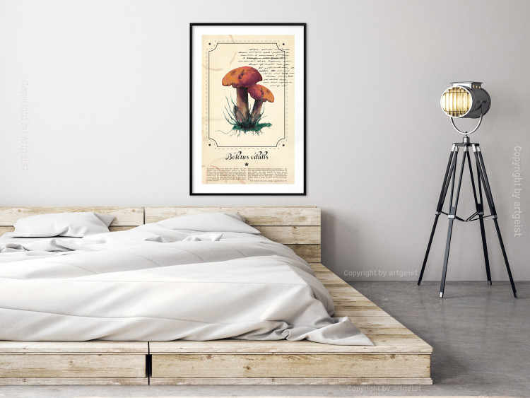Poster Mushroom Atlas - brown mushrooms on beige background amidst black text 129546 additionalImage 18
