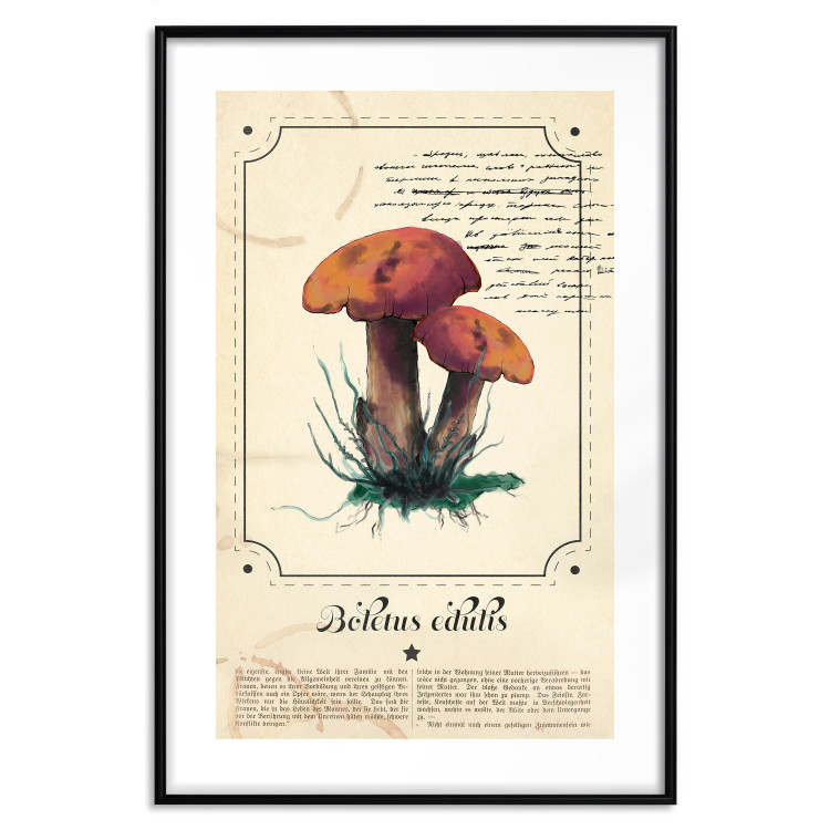 Poster Mushroom Atlas - brown mushrooms on beige background amidst black text 129546 additionalImage 15