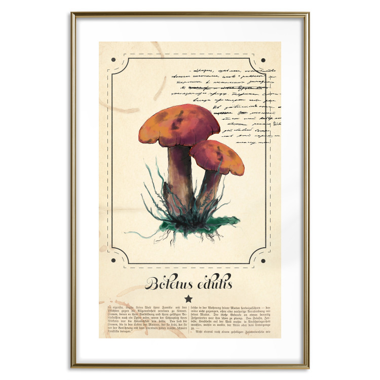 Poster Mushroom Atlas - brown mushrooms on beige background amidst black text 129546 additionalImage 14