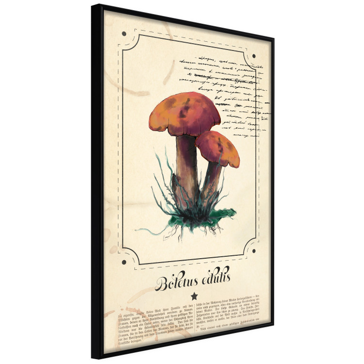 Poster Mushroom Atlas - brown mushrooms on beige background amidst black text 129546 additionalImage 11