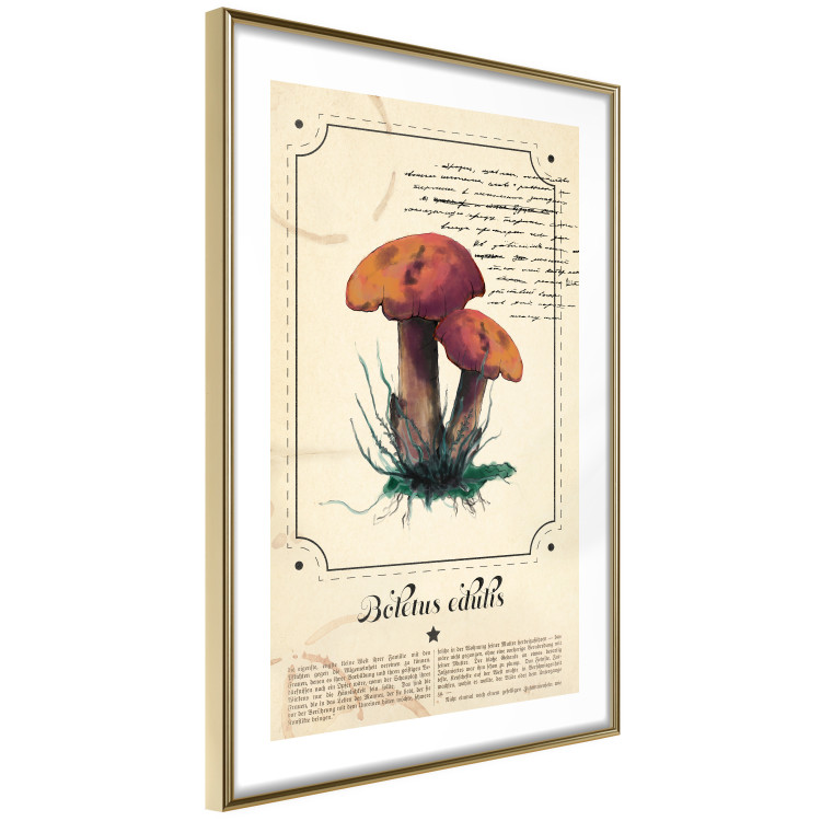 Poster Mushroom Atlas - brown mushrooms on beige background amidst black text 129546 additionalImage 7